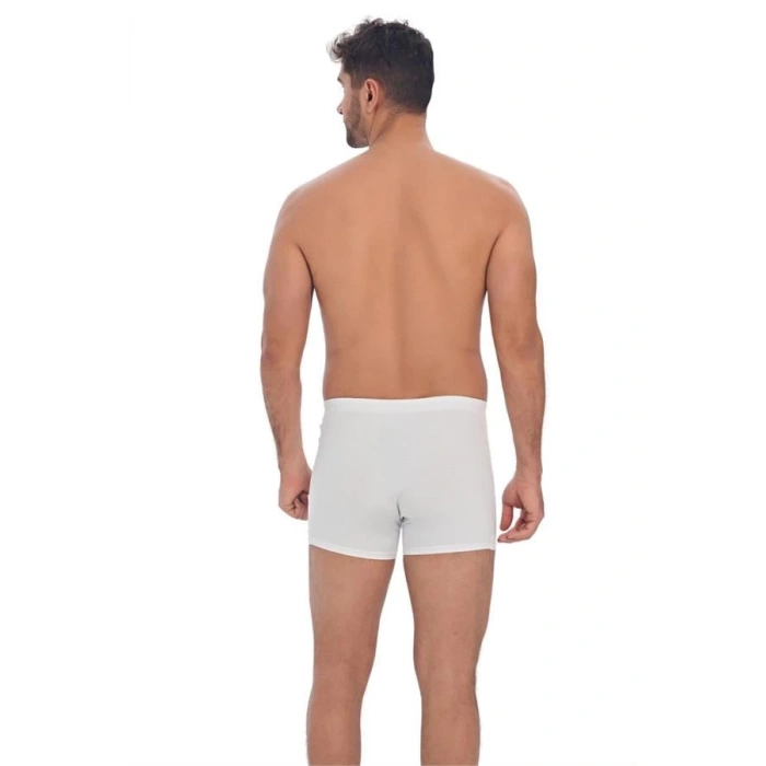 Erkek Pamuklu Geniş Bel Lastikli Klasik Bokser (0027)