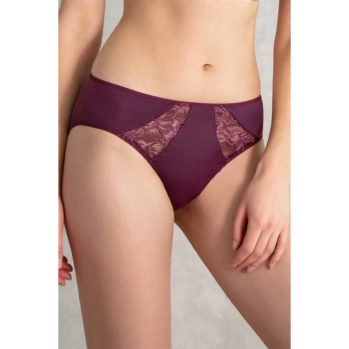 Kadın Mikro Kumaş Dantelli Slip (2780)