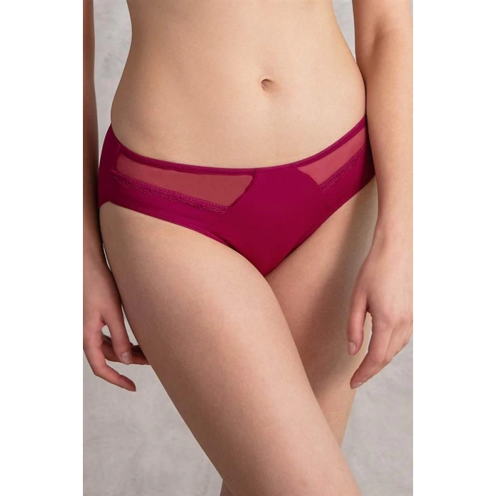 Kadın Mikro Kumaş Tüllü Slip (2779)