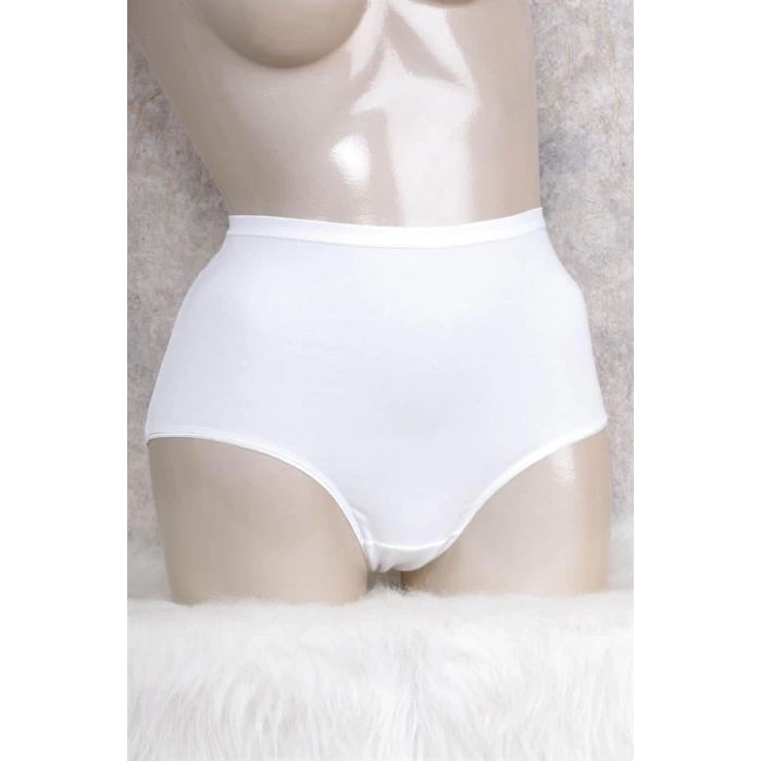 Kadın Pamuklu Yüksek Bel Geniş Bel Lastikli Külot (2678)