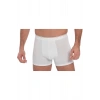 Erkek Pamuk ve Modal Kumaş Geniş Bel Lastikli Klasik Bokser (0019)