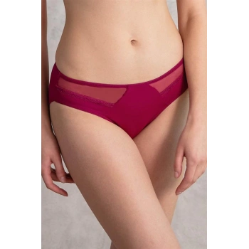 Kadın Mikro Kumaş Tüllü Slip (2779)