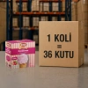Çilekli Ev Tipi Dondurma Tozu
