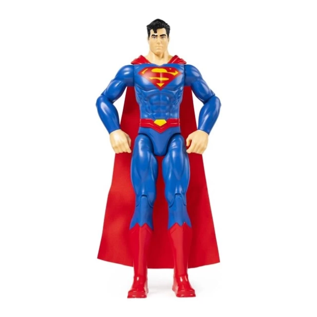 DC Comics Eylem Figürleri Spin Master