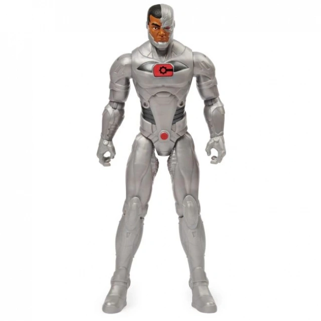 DC Comics Eylem Figürleri Spin Master