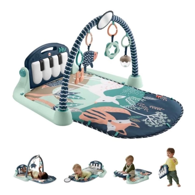 Fisher-Price Bebek Aktivite Matı  Navy