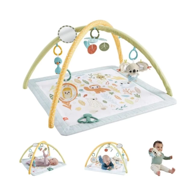Fisher-Price Simply Senses Yenidoğan Bebek Aktivite Matı Çok Renkll