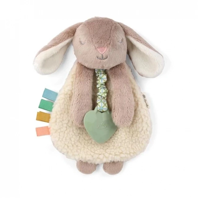 Itzy Ritzy Diş Kaşıyıcı