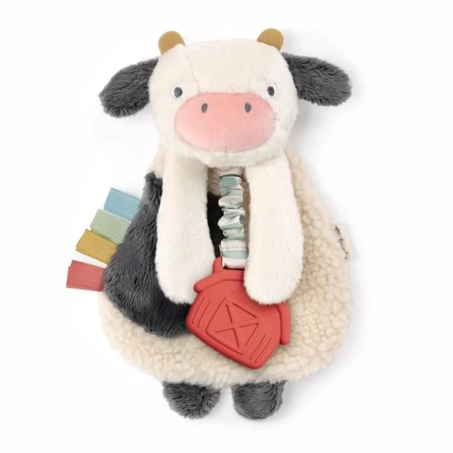 Itzy Ritzy Diş Kaşıyıcı