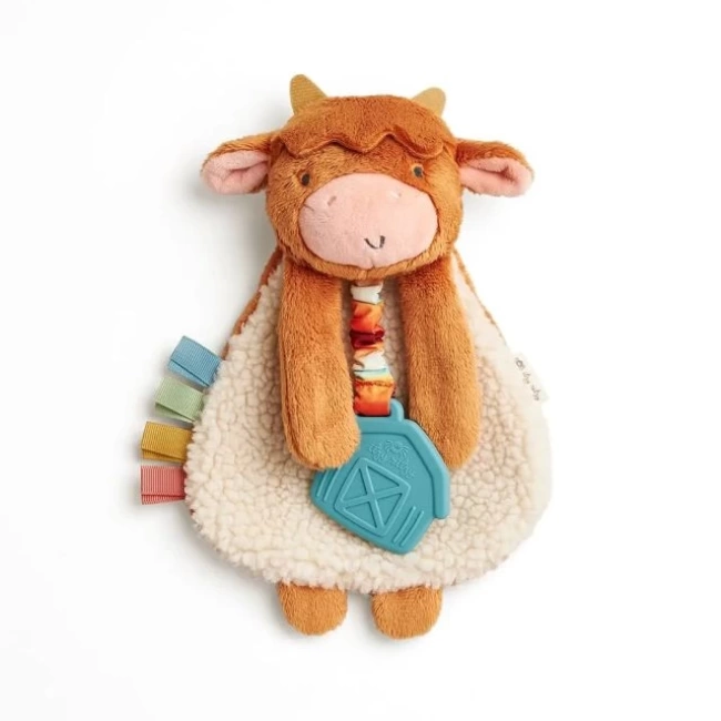 Itzy Ritzy Diş Kaşıyıcı