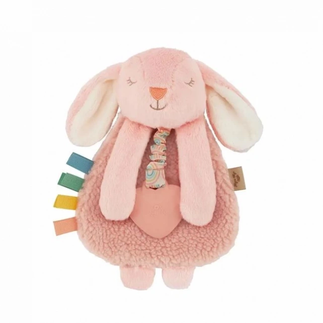 Itzy Ritzy Diş Kaşıyıcı
