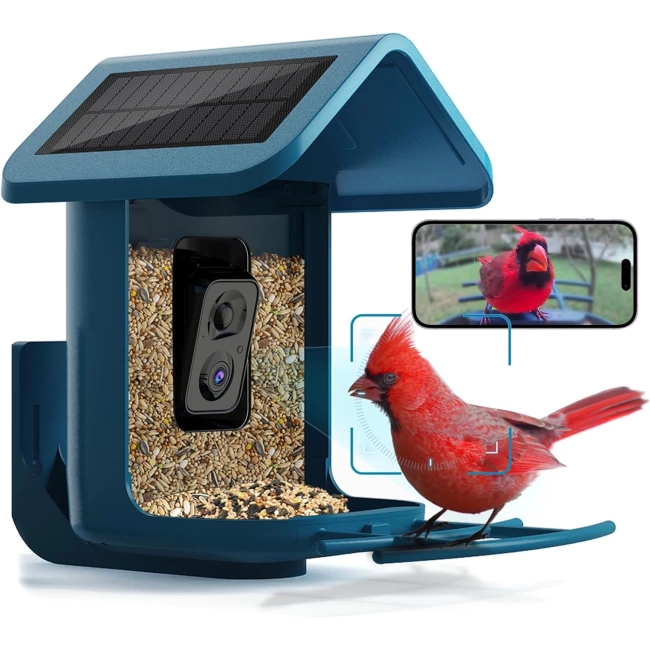 Onlyfly Güneş Enerjili Kameralı Kuş Yemliği: 2K Canlı Yayın Kamerası - Mavi