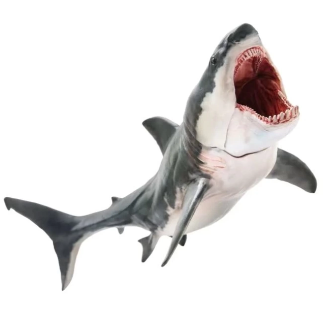 PNSO Deniz Müzesi-Jeff The KRONOSAURUS