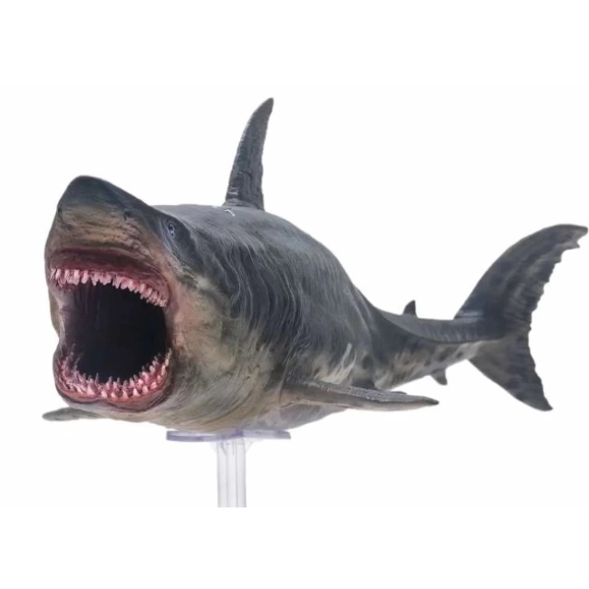 PNSO Deniz Müzesi-Jeff The KRONOSAURUS