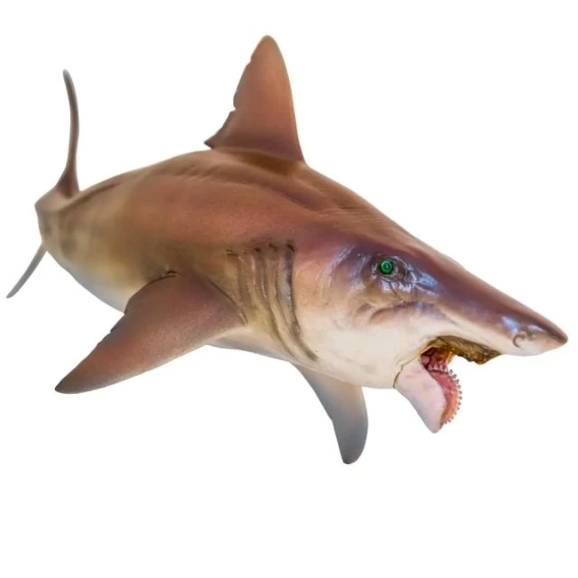 PNSO Deniz Müzesi-Jeff The KRONOSAURUS