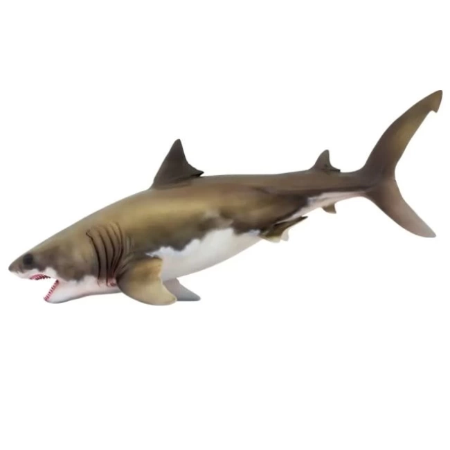 PNSO Deniz Müzesi-Jeff The KRONOSAURUS 54Aidan The Cretoxyrhina
