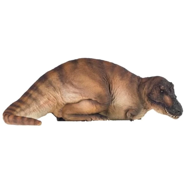 PNSO Dinozor Müzeleri Serisi-XiaoQin Andrea The Tyrannosaurus REX 1:35 Scientific Art Model