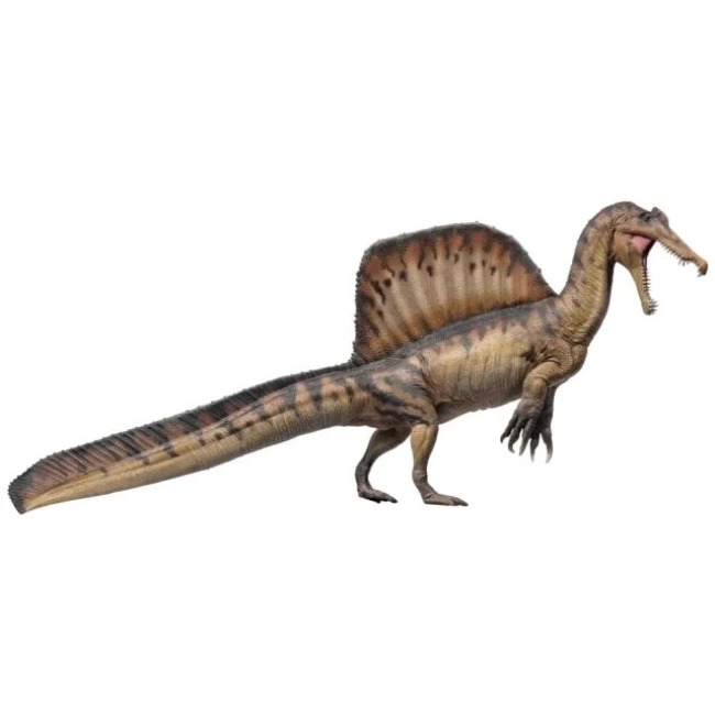 PNSO Dinozor Müzeleri Serisi-XiaoQin AYMEN The Spinosaurus 1:35 Scientific Art Model