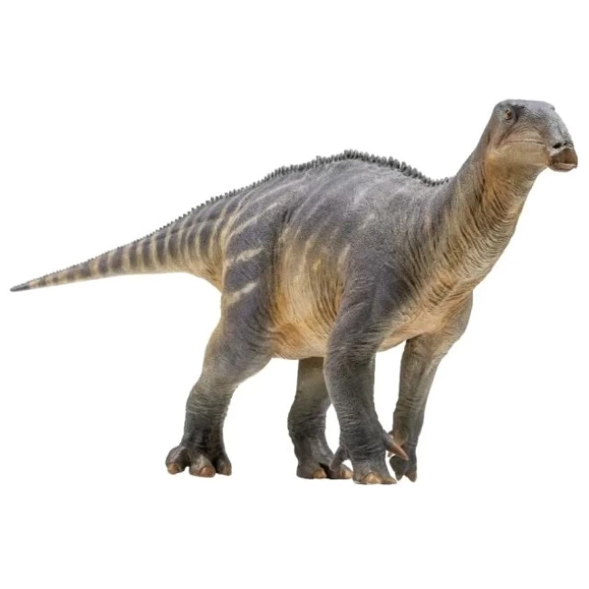 PNSO Dinozor Müzeleri Serisi-XiaoQin Harvey The Iguanodon 1:35 Scientific Art Model