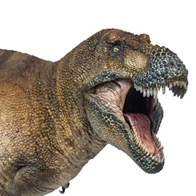 PNSO Dinozor Müzeleri Serisi-XiaoQin New Wilson The Tyrannosaurus rex 1:35 Scientific Art Models