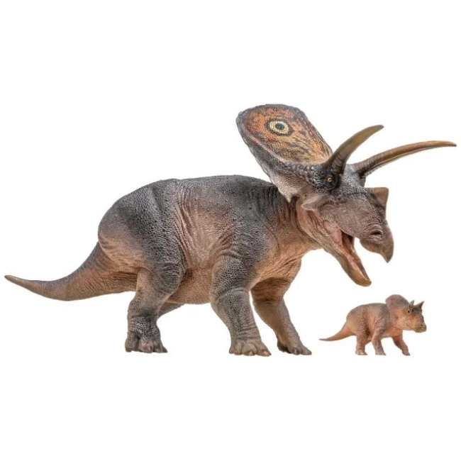 PNSO Dinozor Müzeleri Serisi-XiaoQin Torosaurus Aubrey&Dabei 1:35Scientific Art Model