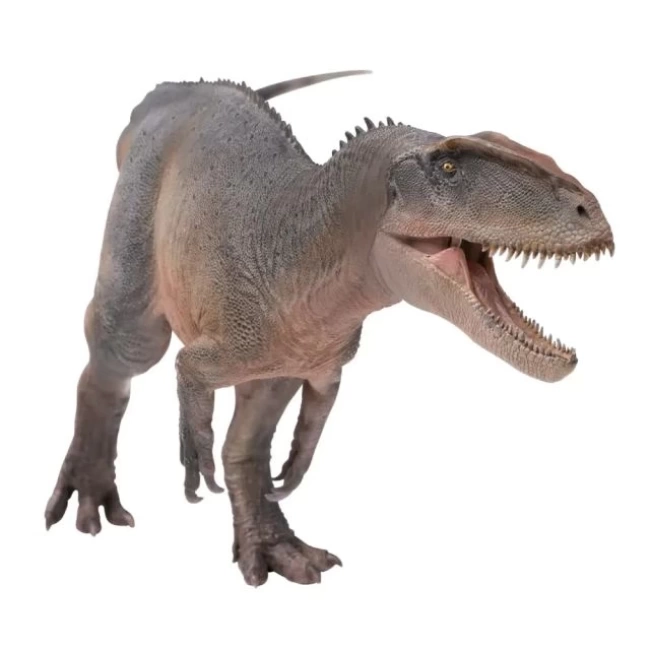 PNSO Prehistorik Dinozor Modelleri-64 62xinchuan the Sinraptor