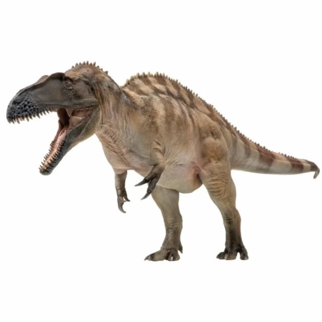 PNSO Prehistorik Dinozor Modelleri-69 61fergus the Acrocanthosaurus