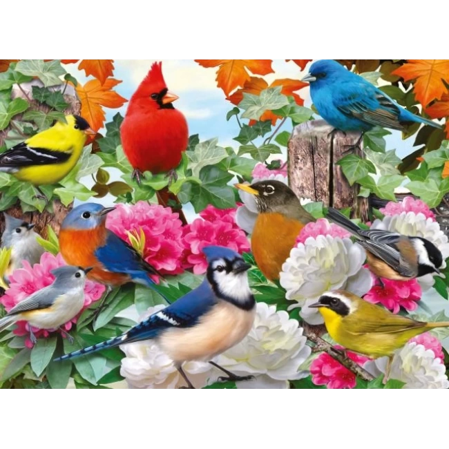Ravensburger Garden Birds 500 Parça Yapboz New Packaging