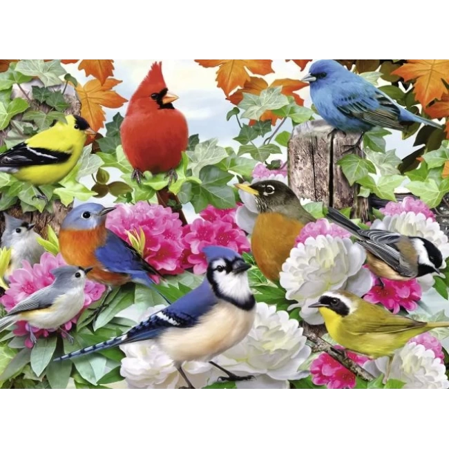 Ravensburger Garden Birds 500 Parça Yapboz Original Packaging