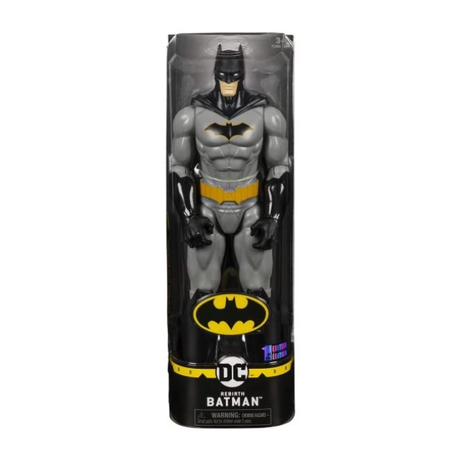 Spin Master Batman Figürleri