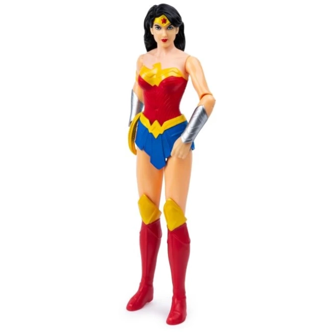 DC Comics Eylem Figürleri Spin Master