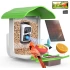 BirdSnap PAV - Akıllı Kuş Yemliği, Güneş Enerjili Kamera 2K HD - Yeşil