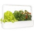 Click & Grow Kapalı Alan Bitki Bahçesi Seti Büyüme Işığı İle - Beyaz