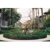 135 Fujifilm 200 Film Formatı Tip 35mm