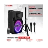 5 Çekirdek 10 İnç TWS Çift Bluetooth Parti Hoparlörü Siyah