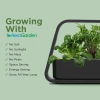 AeroGarden Topraksız Kapalı Bahçe, Filiz ve Gurme Otlar Tohum Kiti - Siyah