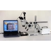 AmScope SM-3T Profesyonel Trinoküler Stereo Zoom Mikroskop