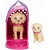 Barbie Bebek ve Evcil Hayvanlar
