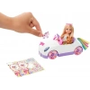 Barbie Chelsea Bebek ve Tek Boynuzlu At Temalı Oyuncak Araba