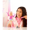 Barbie - Dream Besties Malibu Bebek ve Aksesuarlar