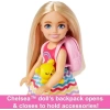 Barbie Oyuncakları Chelsea Bebek ve Aksesuarları