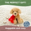 Bearington Chilly Doldurulmuş Grizwald Köpek Peluşu 19cm