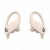 Beats Powerbeats Pro Kablosuz Kulaklık
