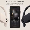 Beats Powerbeats Pro Kablosuz Kulaklık