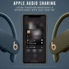 Beats Powerbeats Pro Kablosuz Kulaklık