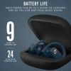 Beats Powerbeats Pro Kablosuz Kulaklık