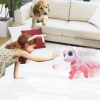 BIRANCO Uzaktan Kumandalı Köpek