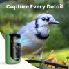 Birdfy 2 Akıllı Kuş Yemliği, Kamera, AI ile Kuş Türlerini Tanımlama 2 Kamera