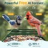 BirdLegend Akıllı Kuş Yemliği Kameralı Güneş Enerjili, 1080P HD - Yeşil