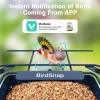 BirdSnap APS - Kameralı Güneş Panelli Metal Kuş Yemliği 2K HD - Beyaz/Mavi
